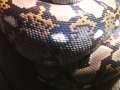 Up close to a retic pattern