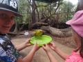 Feeding parrots at Healesville