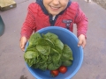 Garden crops